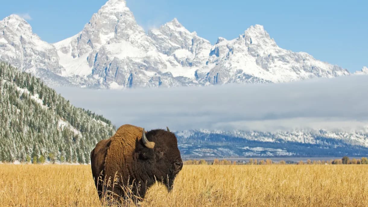 Wyoming Top Talent Making Moves